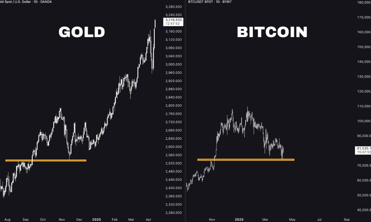 Arthur Hayes: Bitcoin chuẩn bị bật chế độ "Up Only"