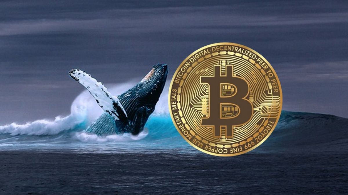 16 công ty mua gần 8 tỷ USD Crypto trong khi whale đang bán ra