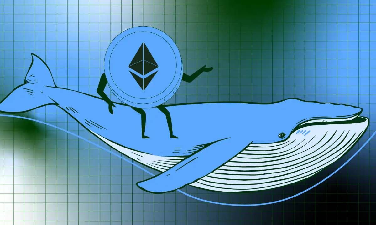 Cá voi Ethereum ráo riết gom hàng từ những traders nghi ngờ