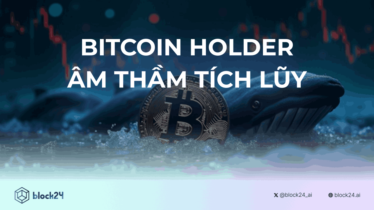 Bitcoin Holder Âm Thầm Tích Lũy