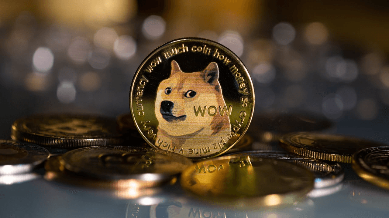 Dogecoin lấy cảm hứng từ chú chó Shiba