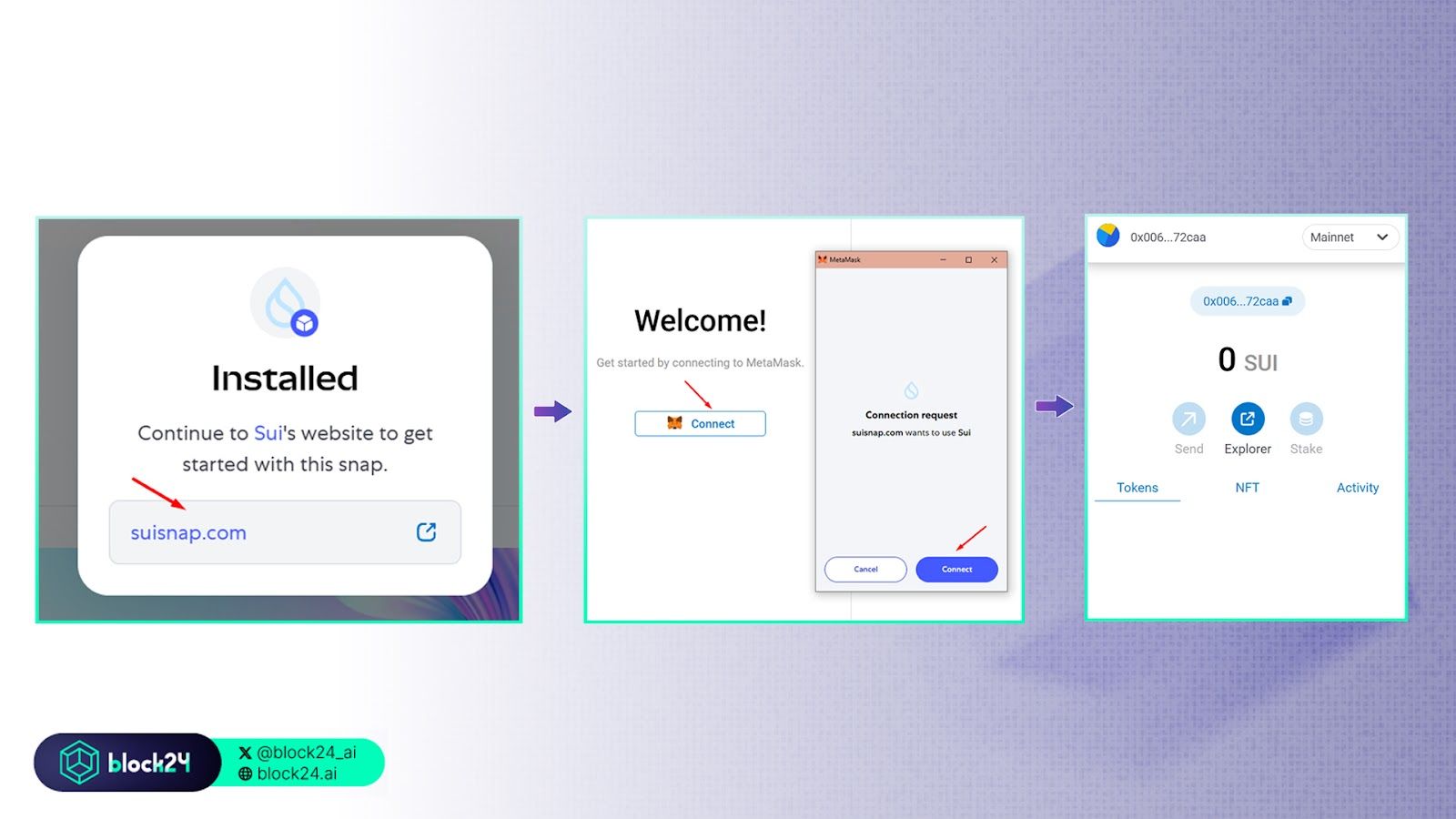 Các bước tạo ví Sui vào MetaMask - 2