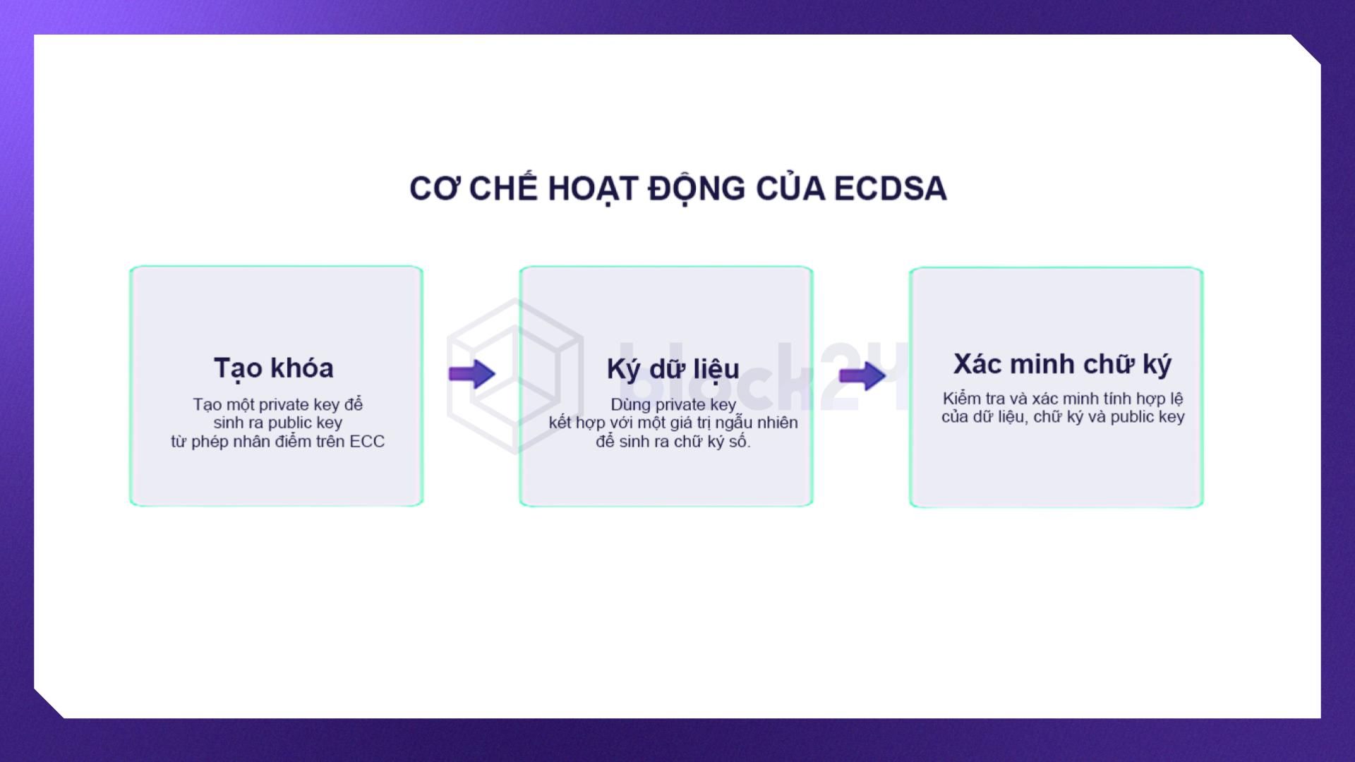 Cơ chế hoạt động của ECDSA