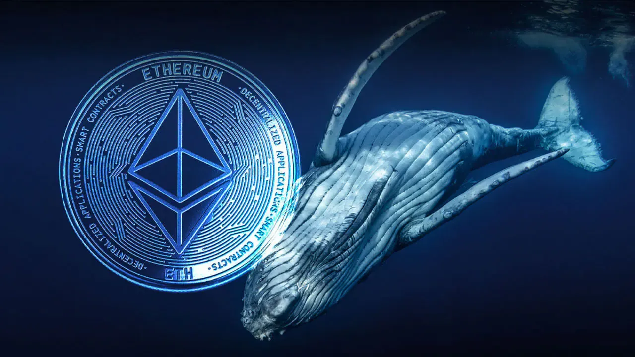 Cá voi này lỗ gần 100 triệu USD chỉ vì short ETH!