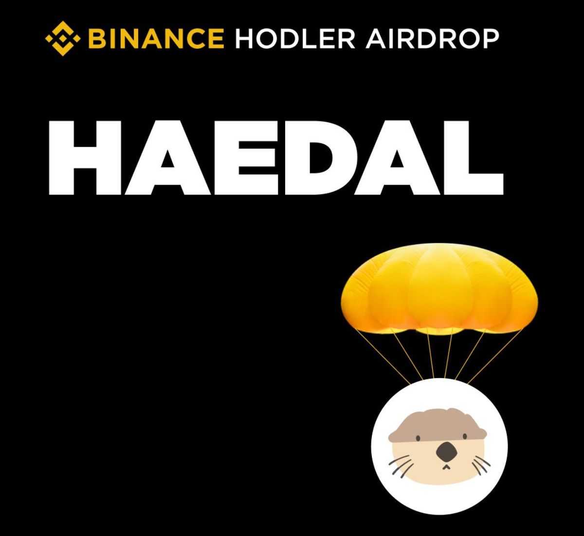 Binance HODLer Airdrops triển khai dự án thứ 19 Haedal Protocol (HAEDAL)