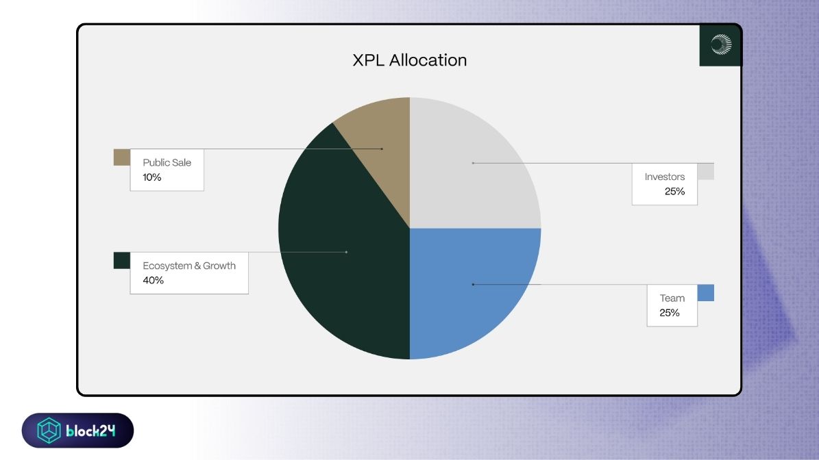 XPL token allocation