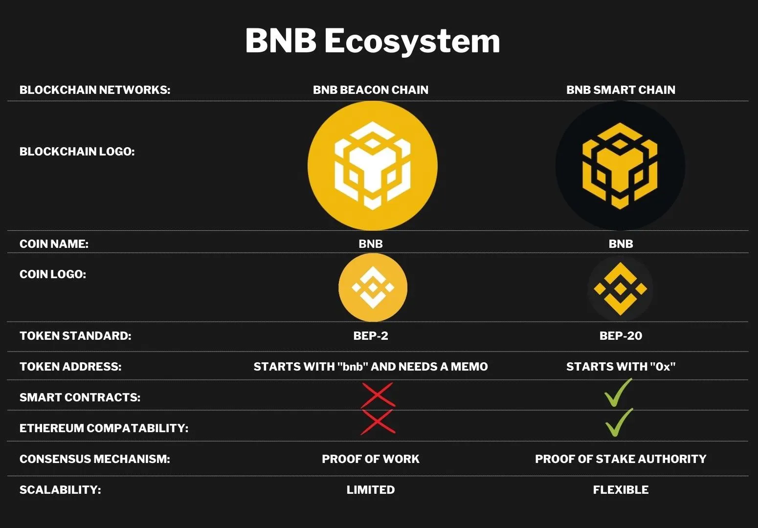 2 blockchain Layer 1 của hệ sinh thái BNB chain (Nguồn: Medium)