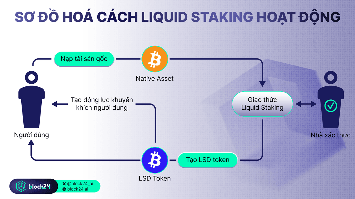 Liquid Staking hoạt động như thế nào