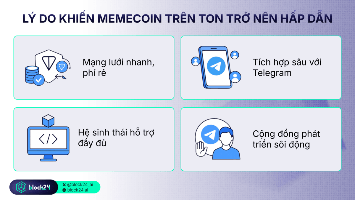 Lý do khiến TON meme trở nên hấp dẫn