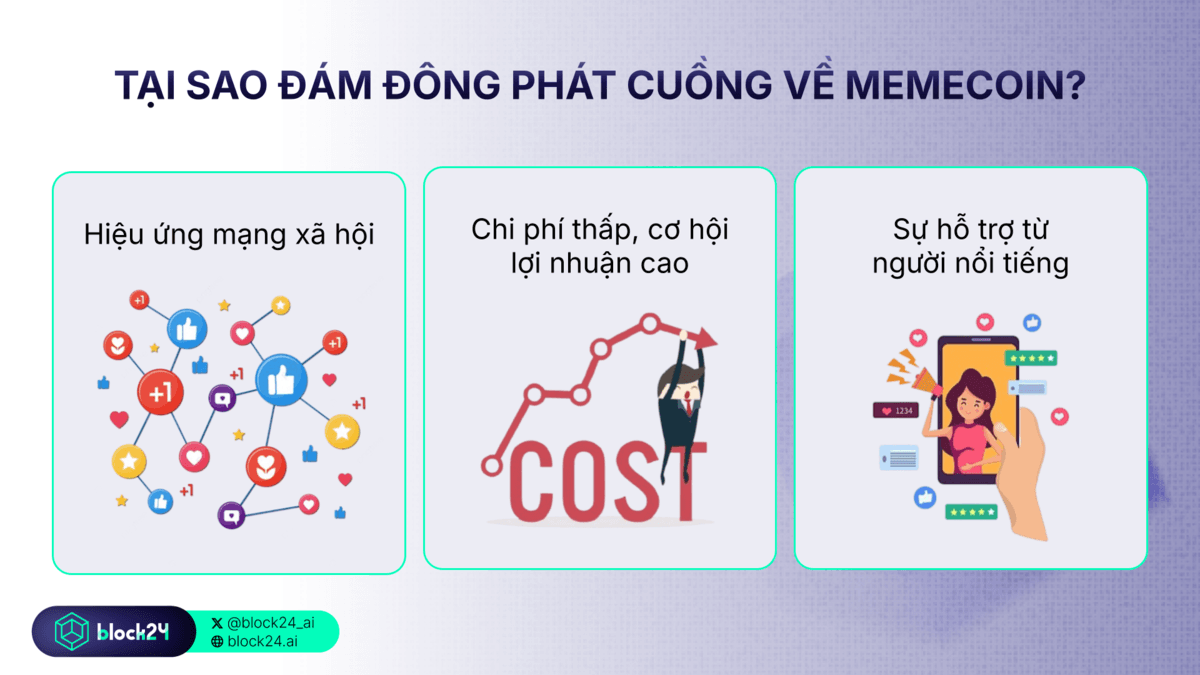 đám đông phát cuồng memecoin