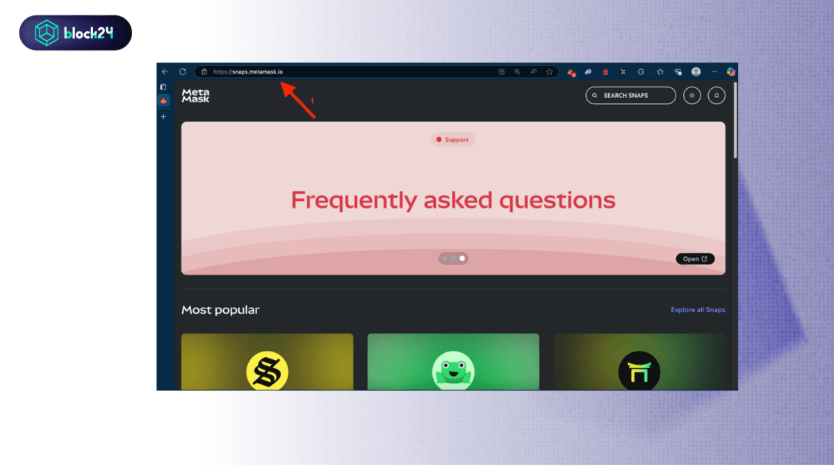 Truy cập website MetaMask Snaps