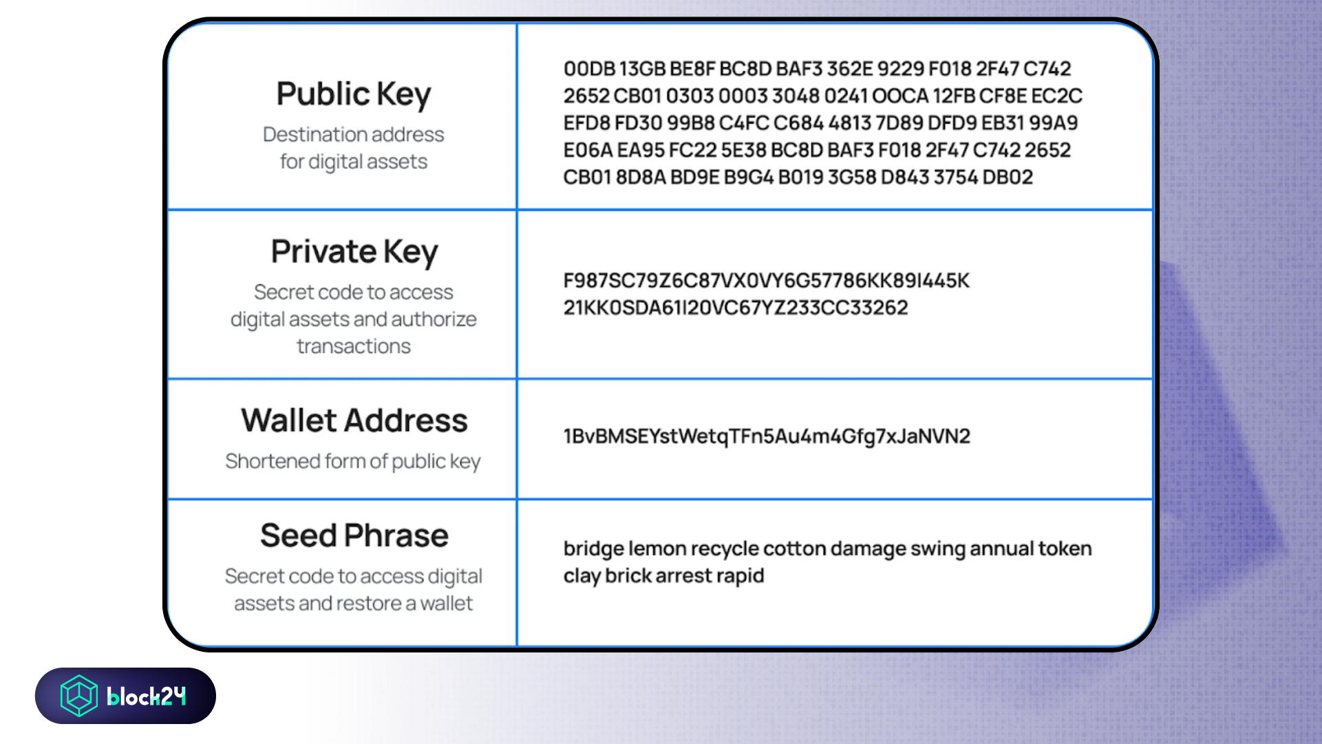 Phân biệt seed phrase, private key, public key, wallet address