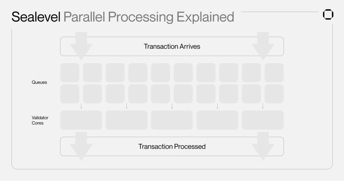Sealevel của blockchain solana