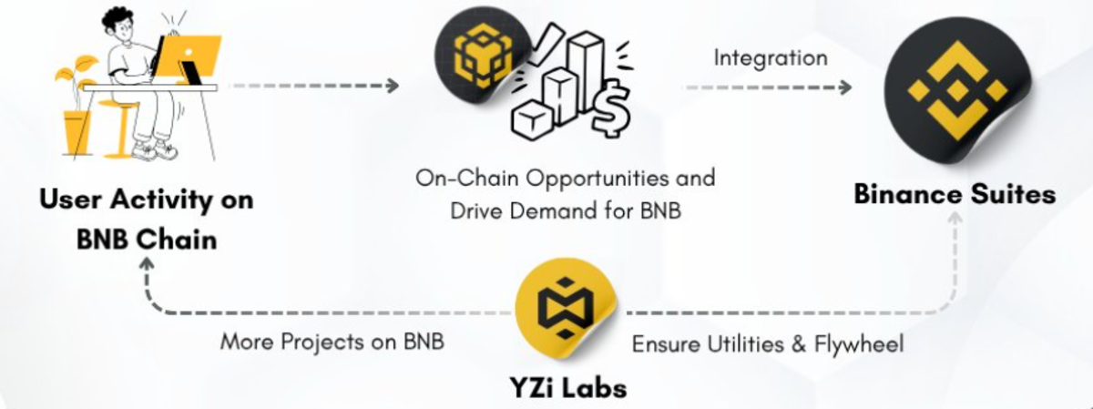 Cơ chế tự củng cố giá trị của BNB (Nguồn: Eli5DeFi)