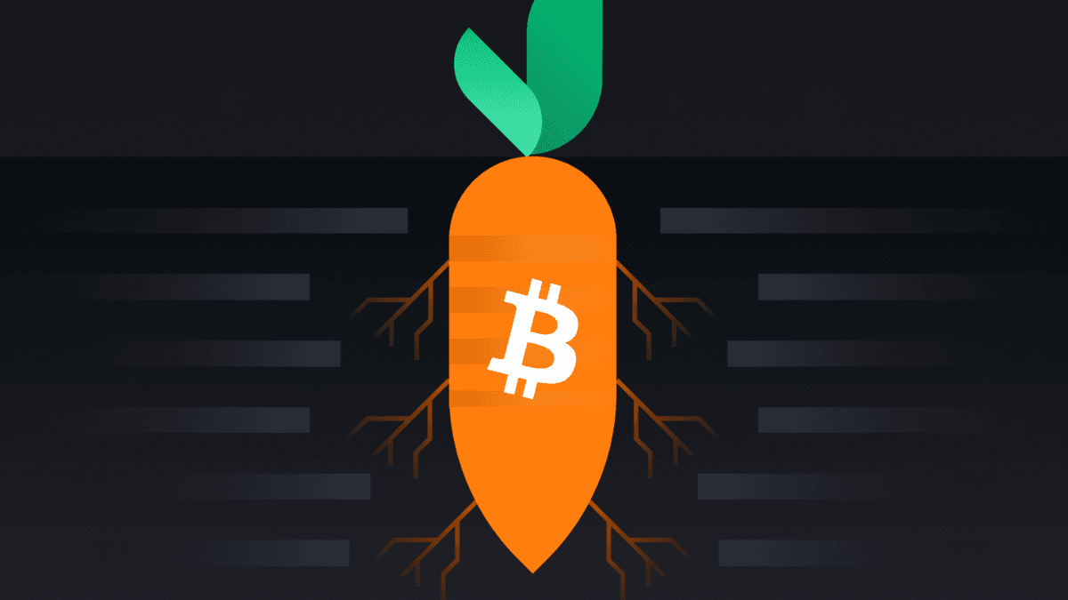 Hình ảnh thường được dùng để minh họa cho Taproot