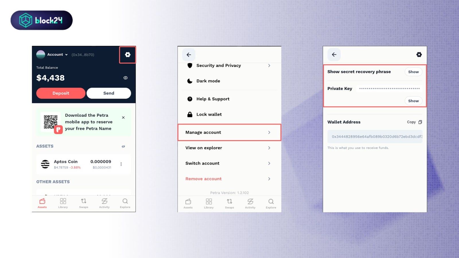Lấy Private Key ví Petra