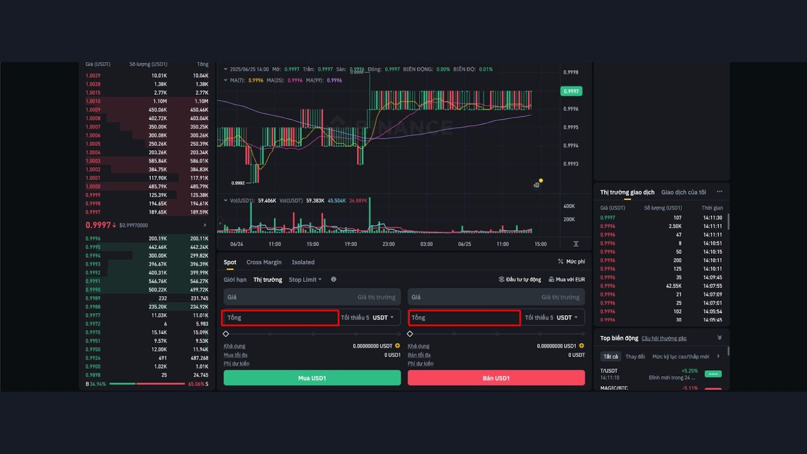 USD1 token