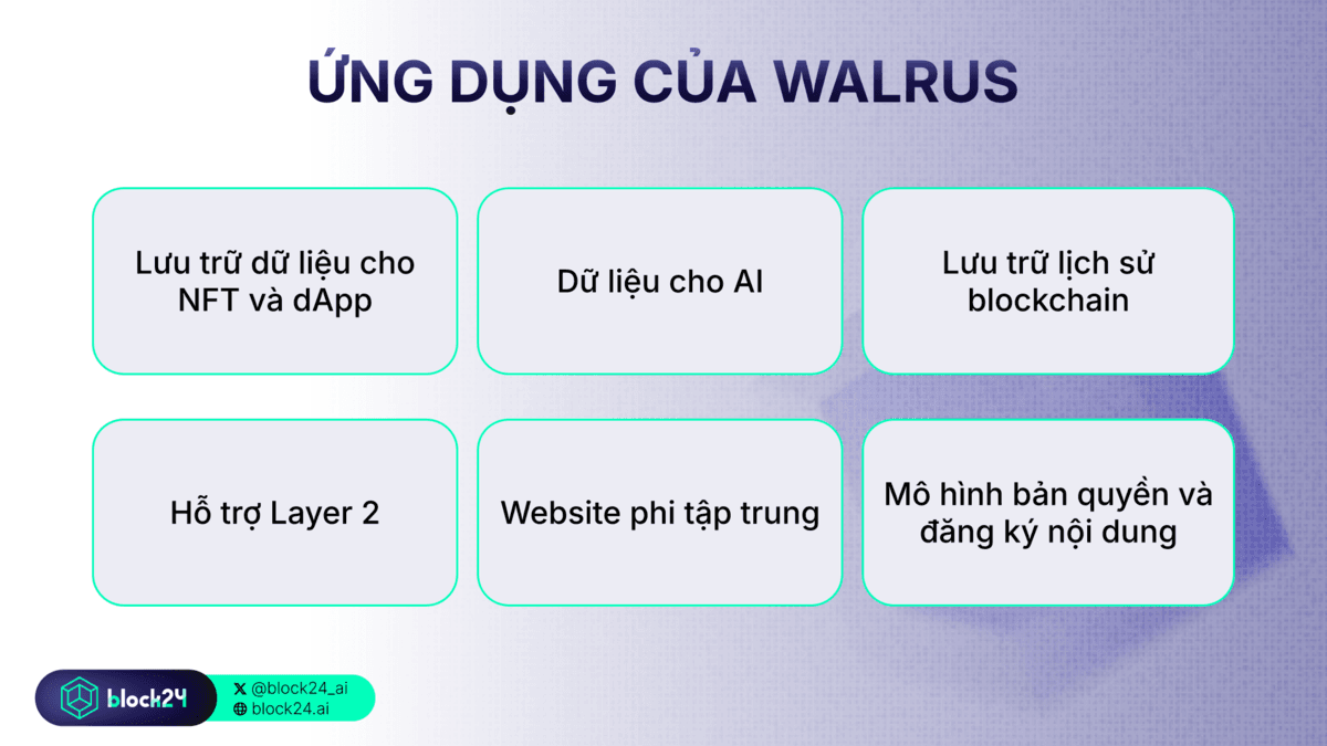 Ứng dụng của Walrus