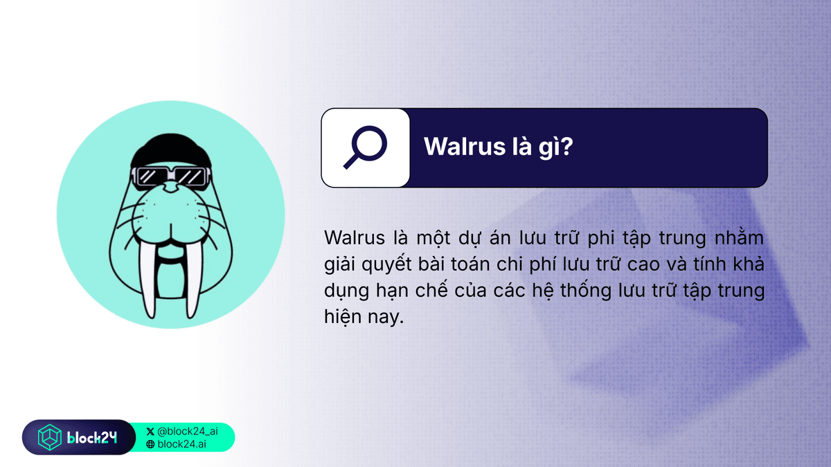 Walrus là gì?