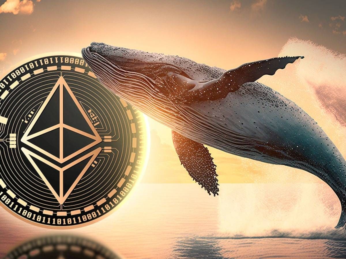Whale Ethereum đang gom hàng mạnh nhất kể từ năm 2020