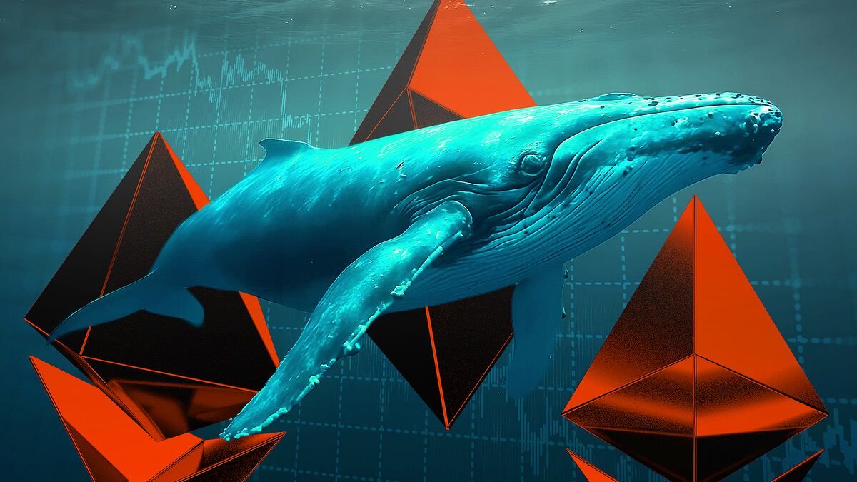 Cá voi Ethereum tích cực gom hàng trong khi nhà đầu tư nhỏ lẻ chốt lời