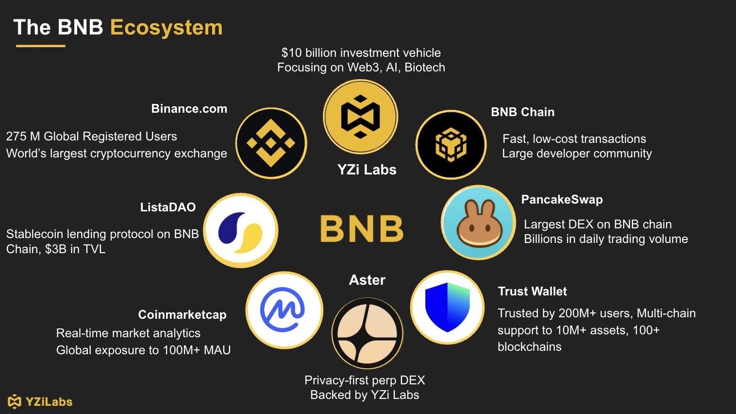 Tổng quan về hệ sinh thái BNB Chain tính đến đầu tháng 10 năm 2025 - nguồn: X (Twitter)